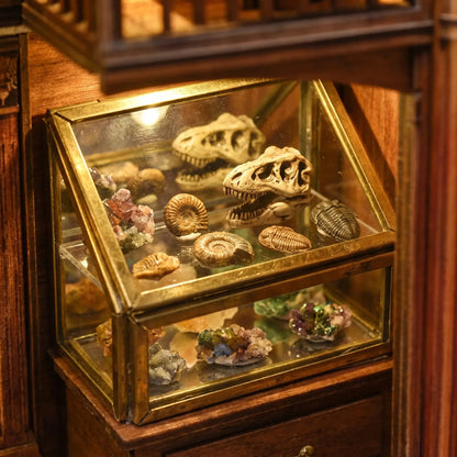 Book Nook Fossil Museum